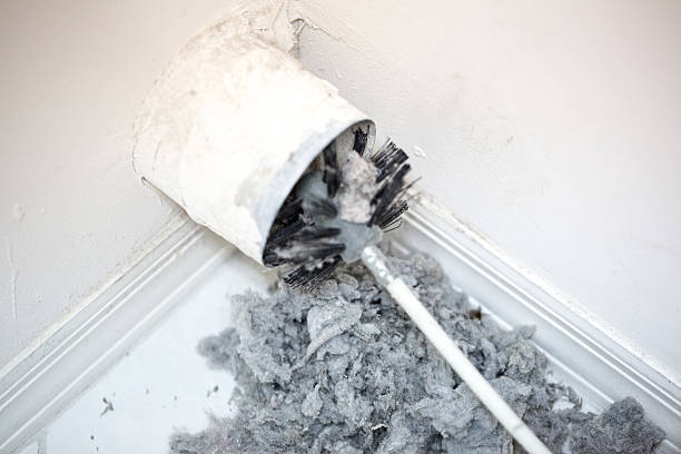 Best Home Air Vent Cleaning  in Elizabeth City, NC